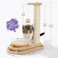Indoor Cat Soft Scratching Board And Interactive Ball Track Toy Cat Rest And Grooming Supplies