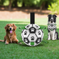 Interactive Dog Football Toy Soccer Ball Inflated Training Toy For Dogs Outdoor Border Collie Balls For Large Dogs Pet Supplies